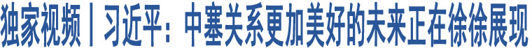 獨(dú)家視頻丨習(xí)近平：中塞關(guān)系更加美好的未來正在徐徐展現(xiàn)