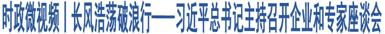 時(shí)政微視頻丨長(zhǎng)風(fēng)浩蕩破浪行——習(xí)近平總書(shū)記主持召開(kāi)企業(yè)和專(zhuān)家座談會(huì)