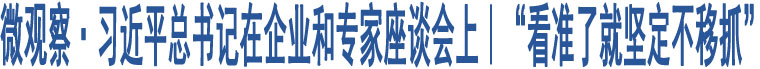 微觀察·習(xí)近平總書(shū)記在企業(yè)和專(zhuān)家座談會(huì)上｜“看準(zhǔn)了就堅(jiān)定不移抓”