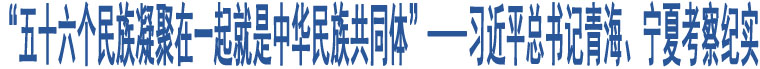 “五十六個民族凝聚在一起就是中華民族共同體”——習(xí)近平總書記青海、寧夏考察紀(jì)實