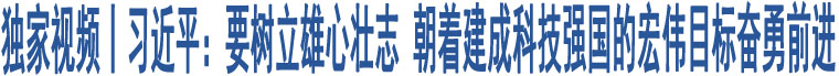 獨(dú)家視頻丨習(xí)近平：要樹(shù)立雄心壯志 朝著建成科技強(qiáng)國(guó)的宏偉目標(biāo)奮勇前進(jìn)