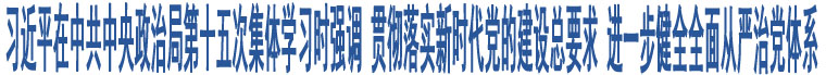 習(xí)近平在中共中央政治局第十五次集體學(xué)習(xí)時(shí)強(qiáng)調(diào) 貫徹落實(shí)新時(shí)代黨的建設(shè)總要求 進(jìn)一步健全全面從嚴(yán)治黨體系