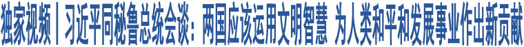 獨(dú)家視頻丨習(xí)近平同秘魯總統(tǒng)會(huì)談：兩國(guó)應(yīng)該運(yùn)用文明智慧 為人類和平和發(fā)展事業(yè)作出新貢獻(xiàn)