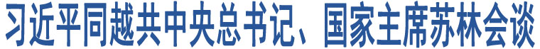 習近平同越共中央總書記、國家主席蘇林會談