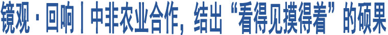 鏡觀·回響丨中非農(nóng)業(yè)合作，結出“看得見摸得著”的碩果