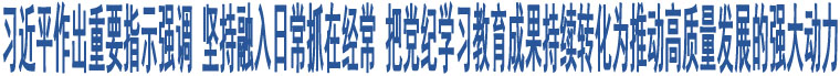 習近平作出重要指示強調 堅持融入日常抓在經(jīng)常 把黨紀學習教育成果持續(xù)轉化為推動高質量發(fā)展的強大動力