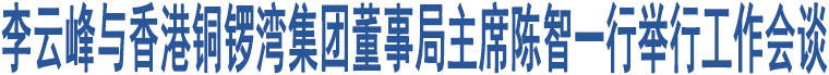 李云峰與香港銅鑼灣集團董事局主席陳智一行舉行工作會談