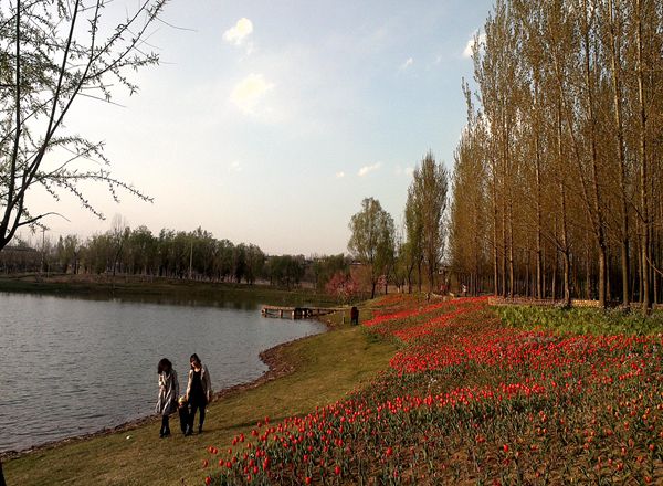 澇洰河公園美景（19張）