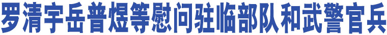 羅清宇岳普煜等慰問駐臨部隊和武警官兵