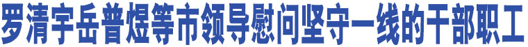 羅清宇岳普煜等市領(lǐng)導(dǎo)慰問(wèn)堅(jiān)守一線的干部職工