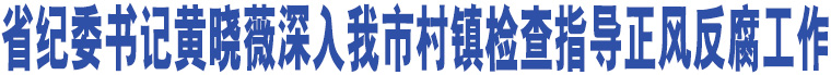 省紀(jì)委書(shū)記黃曉薇深入我市村鎮(zhèn)檢查指導(dǎo)正風(fēng)反腐工作