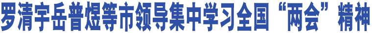 羅清宇岳普煜等市領(lǐng)導(dǎo)集中學(xué)習(xí)全國(guó)“兩會(huì)”精神