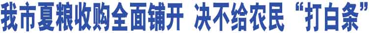 我市夏糧收購全面鋪開 決不給農(nóng)民“打白條”