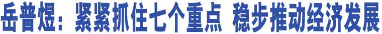 岳普煜：緊緊抓住七個(gè)重點(diǎn) 穩(wěn)步推動(dòng)經(jīng)濟(jì)發(fā)展