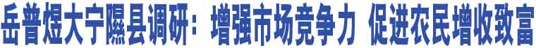 岳普煜大寧隰縣調(diào)研：增強(qiáng)市場(chǎng)競(jìng)爭(zhēng)力 促進(jìn)農(nóng)民增收致富