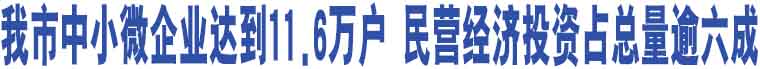 我市中小微企業(yè)達(dá)到11.6萬(wàn)戶 民營(yíng)經(jīng)濟(jì)投資占總量逾六成