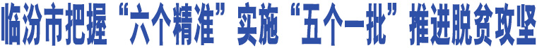 臨汾市把握“六個(gè)精準(zhǔn)”實(shí)施“五個(gè)一批”推進(jìn)脫貧攻堅(jiān)