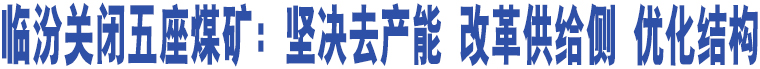 臨汾關(guān)閉五座煤礦：堅決去產(chǎn)能 改革供給側(cè) 優(yōu)化結(jié)構(gòu)