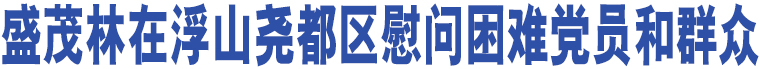 盛茂林在浮山堯都區(qū)慰問困難黨員和群眾