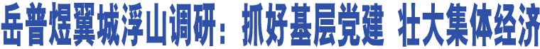 岳普煜翼城浮山調(diào)研：抓好基層黨建 壯大集體經(jīng)濟(jì)