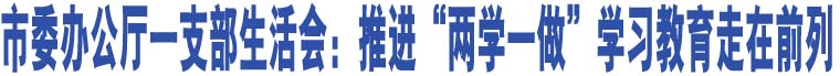 市委辦公廳一支部生活會(huì)：推進(jìn)“兩學(xué)一做”學(xué)習(xí)教育走在前列