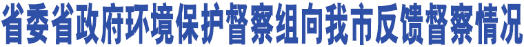 省委省政府環(huán)境保護(hù)督察組向我市反饋督察情況