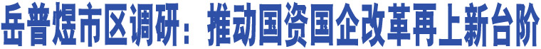 岳普煜市區(qū)調研：推動國資國企改革再上新臺階