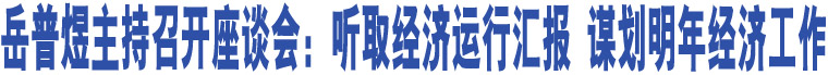 岳普煜主持召開(kāi)座談會(huì)：聽(tīng)取經(jīng)濟(jì)運(yùn)行匯報(bào) 謀劃明年經(jīng)濟(jì)工作