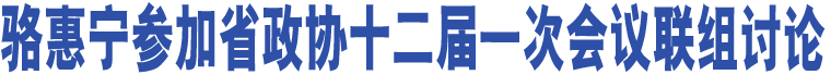 駱惠寧參加省政協(xié)十二屆一次會議聯(lián)組討論